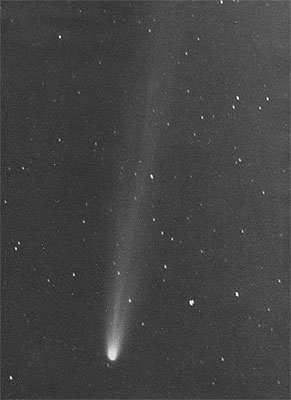 [ブラッドフィールド彗星 C/1980 Y1 (Bradfield) = 1980tの写真]