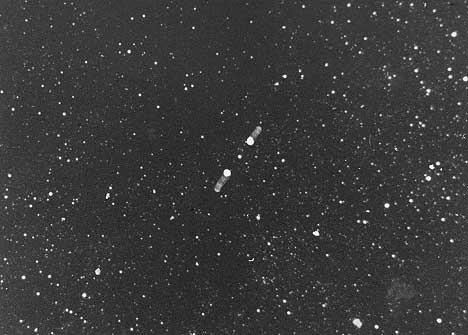 [Nova in Sagittarius V4742]