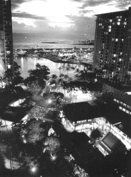 [���C�L�L�̎ʐ^]