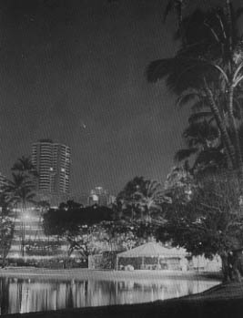 [���C�L�L�̕l�A�r���A�w�[����{�b�v�a���̎ʐ^]