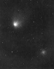 [���󐯒c�ƃw�[����{�b�v�a���̎ʐ^]