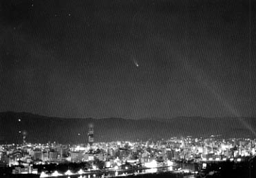 [���m�s�X�̏��Ɍ��ꂽ�w�[���E�{�b�v�a���̎ʐ^]