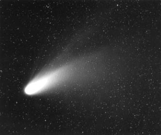 [�w�[���E�{�b�v�a���̎ʐ^]