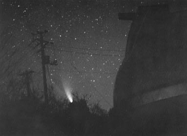 [�|���V����̃h�[���ƃw�[����{�b�v�a���̎ʐ^]