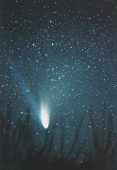 [Comet Hale-Bopp]