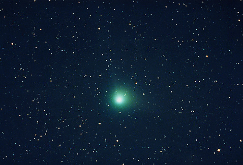 [Photo of Comet Machholz]